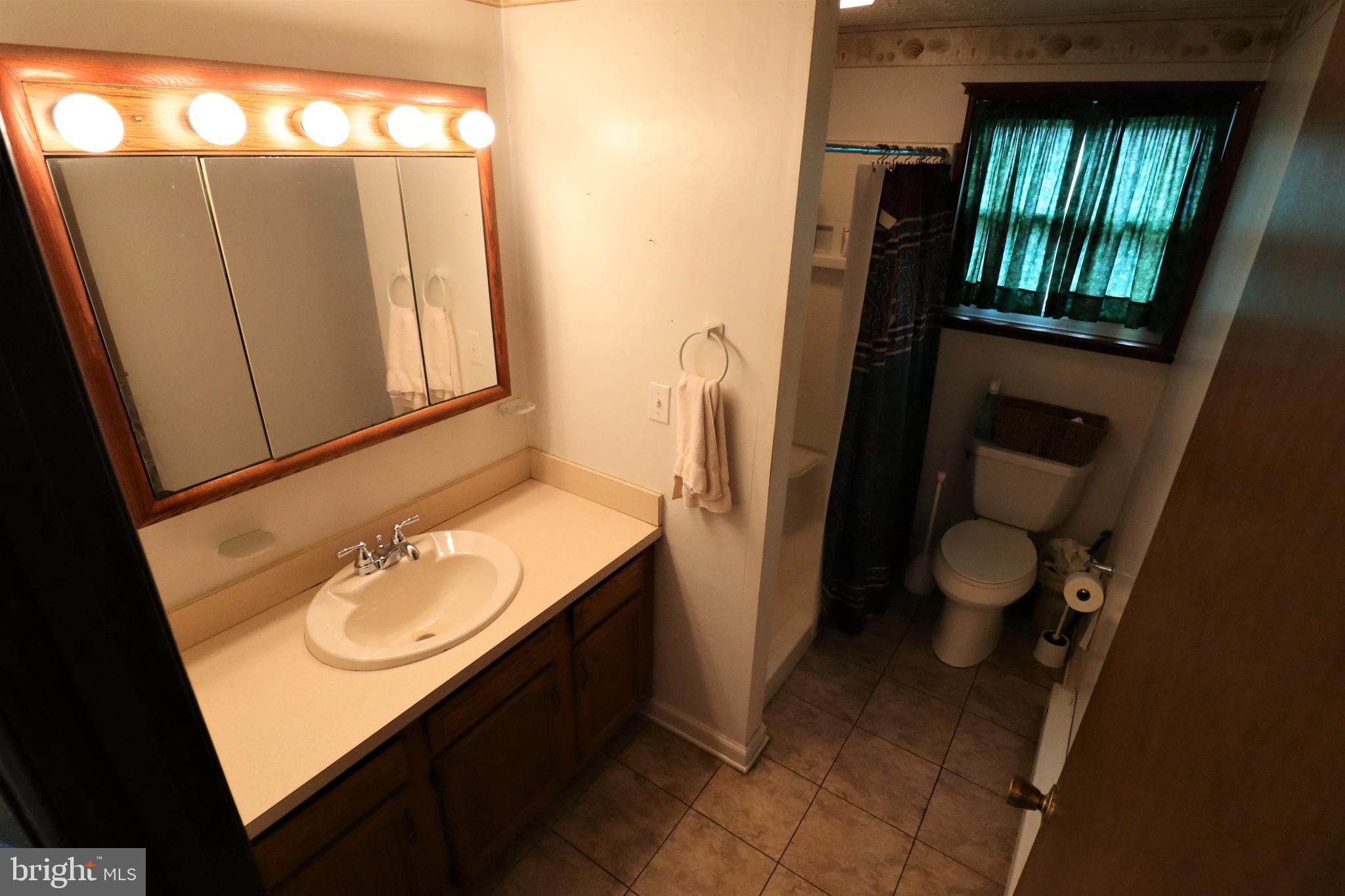 1260 Felton Road Felton, PA 17322 - Photo 7 of 21 Bathroom with Walk-in Shower