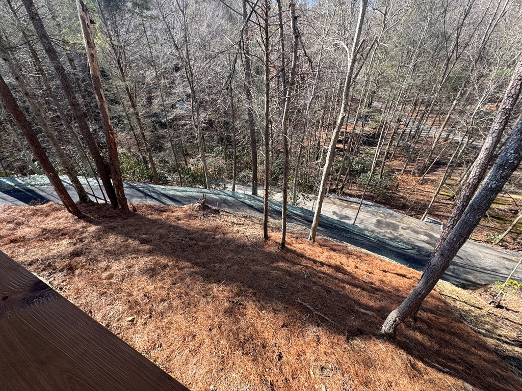 846 Joann Sisson Road Blue Ridge, GA 30513 - Photo 21 of 39 Gallery Image 21