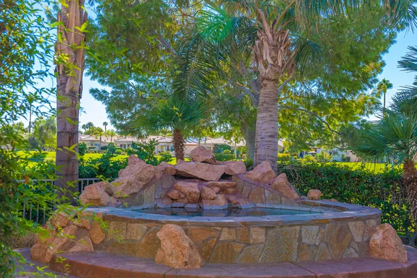 a view of a backyard with garden