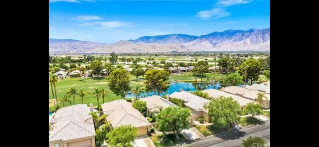 a view of a pathway with plants