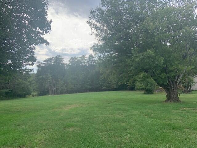 5207 Lewis Road Roanoke, VA 24014 - Photo 5 of 6 a view of a grassy field with trees in the background