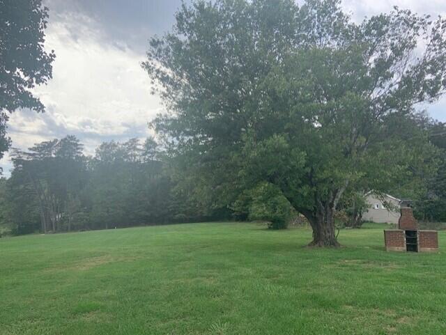 5207 Lewis Road Roanoke, VA 24014 - Photo 6 of 6 a view of yard with green space