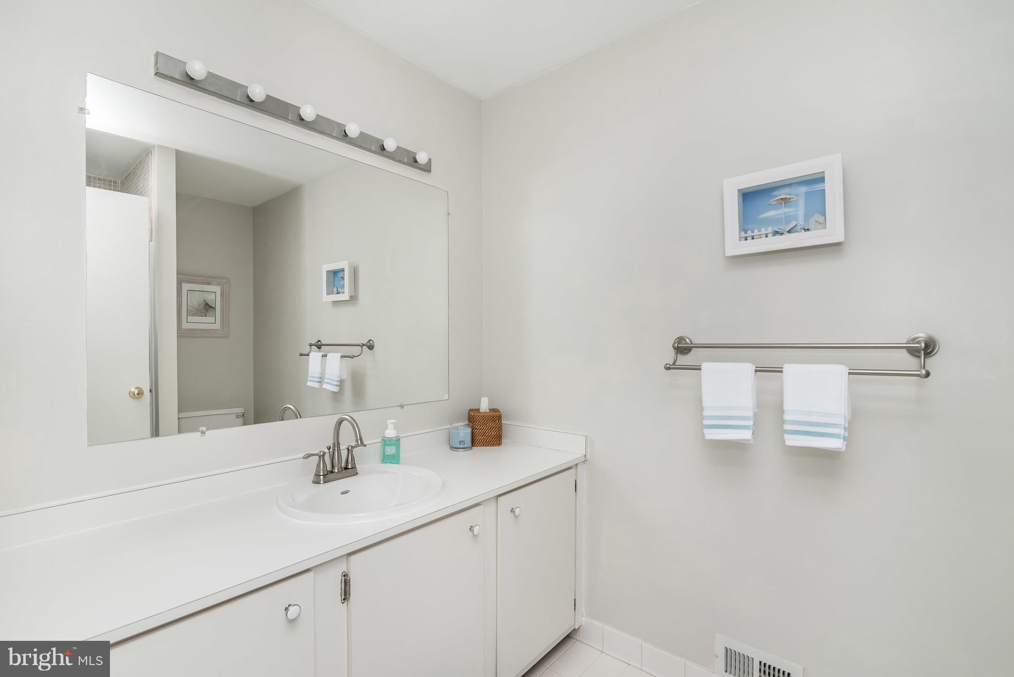 9724 Early Spring Way Columbia, MD 21046 - Photo 17 of 30 Bath (Master)