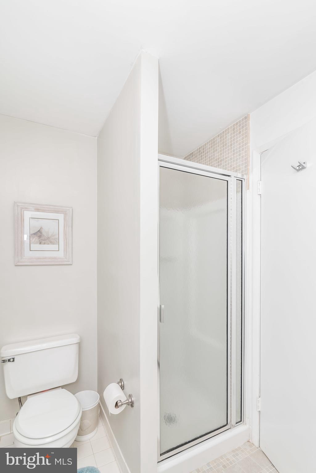 9724 Early Spring Way Columbia, MD 21046 - Photo 18 of 30 Bath (Master)