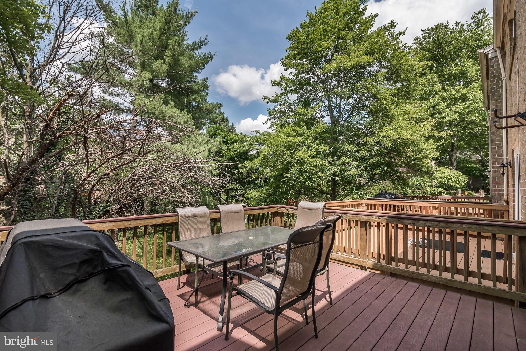 9724 Early Spring Way Columbia, MD 21046 - Photo 24 of 30 Exterior (Rear)