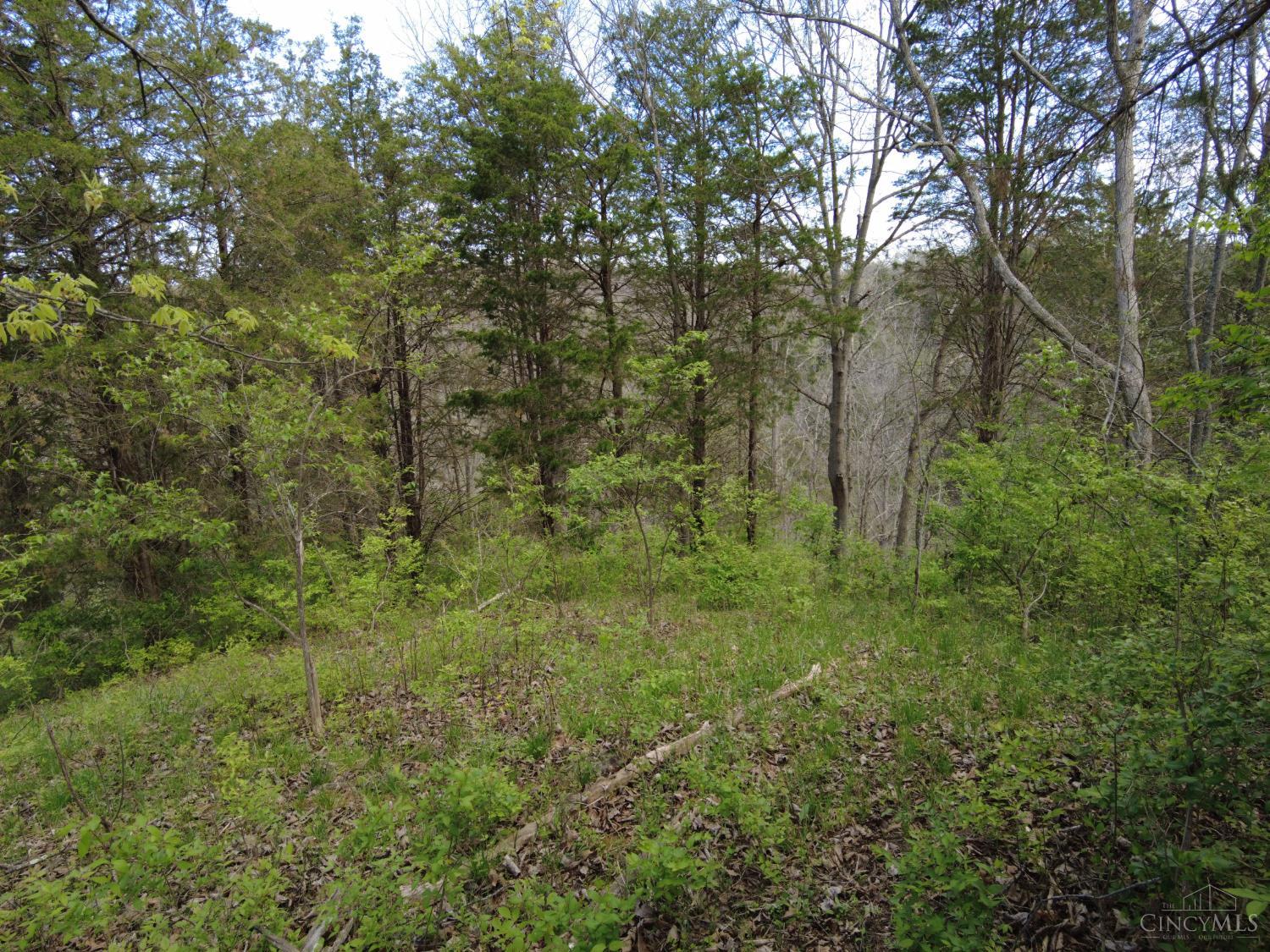 9951 Fishing Gut Road Aberdeen, OH 45101 - Photo 23 of 50
