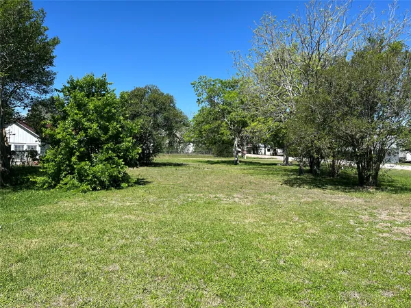 $325,000 | 223 Walnut Street, New Ulm, TX 78950