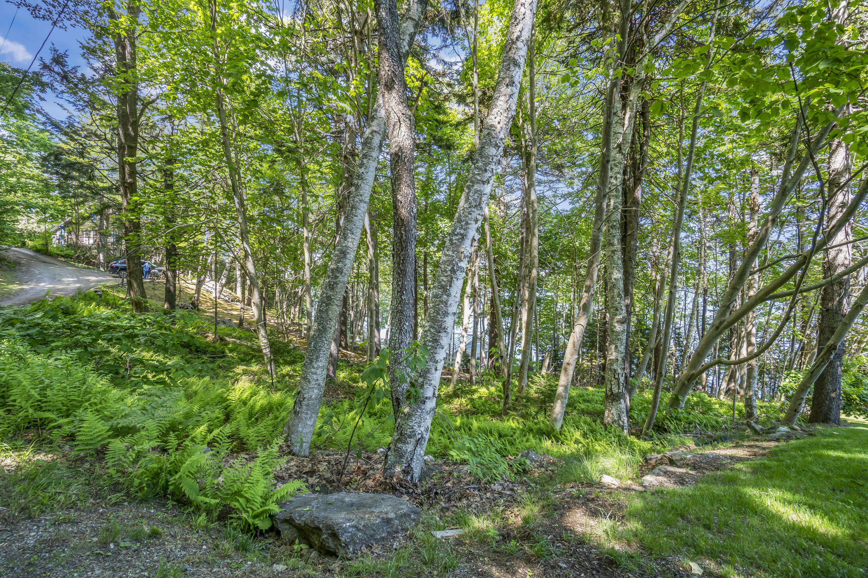 Lot 009 Reny Road Round Pond, ME 04564 - Photo 12 of 18