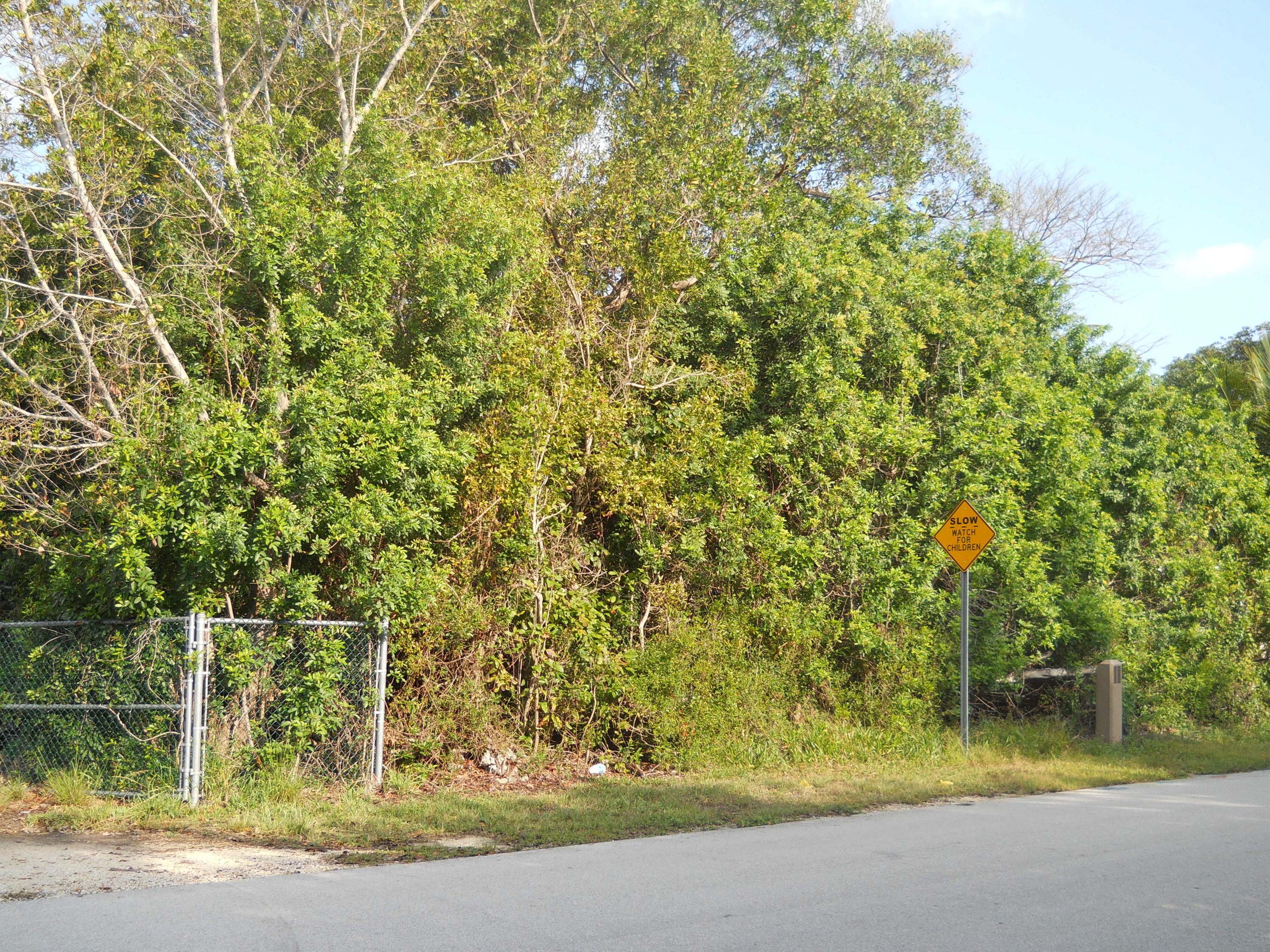 0 La Paloma Road Key Largo, FL 33037 - Photo 1 of 6 DSCN0256