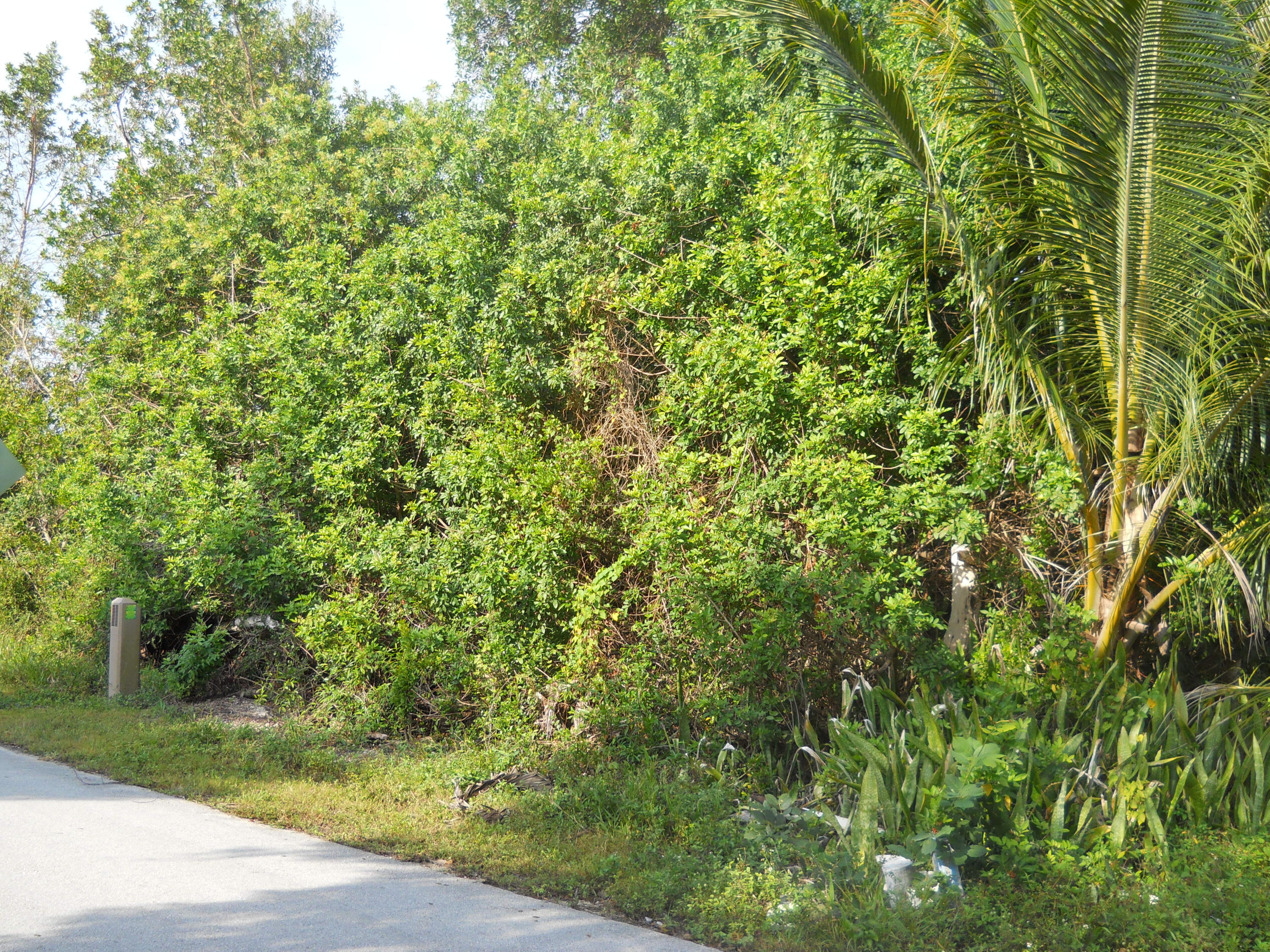 0 La Paloma Road Key Largo, FL 33037 - Photo 2 of 6 DSCN0257