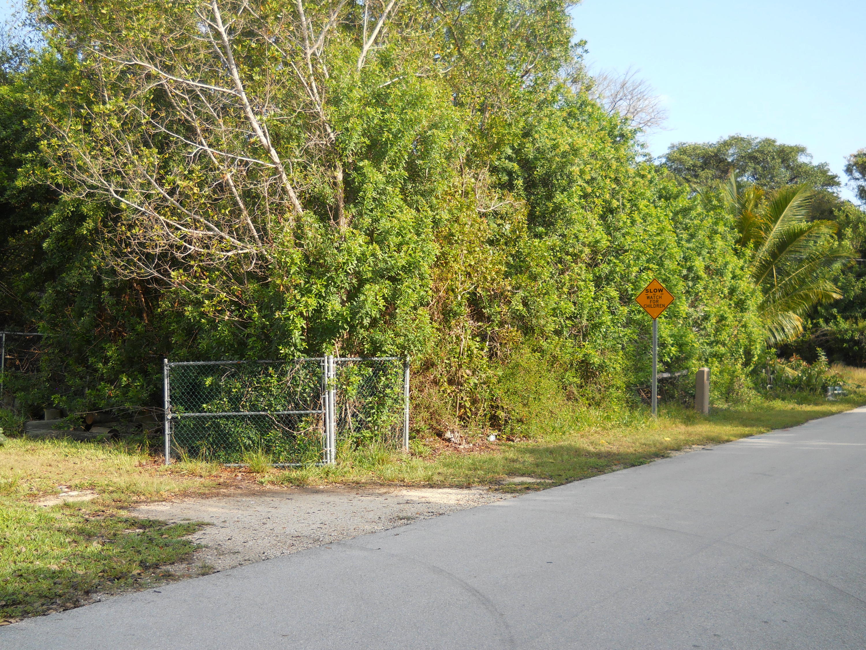 0 La Paloma Road Key Largo, FL 33037 - Photo 6 of 6 DSCN0261