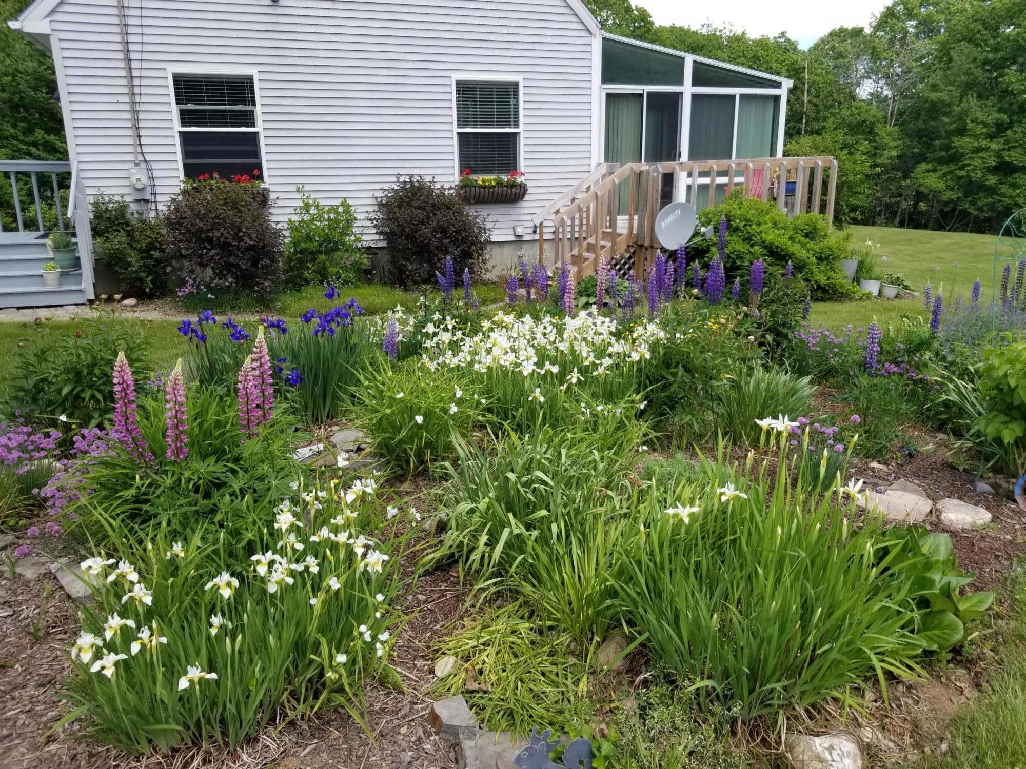 33 Oak Hill Road Trevett, ME 04571 - Photo 31 of 33 gardens