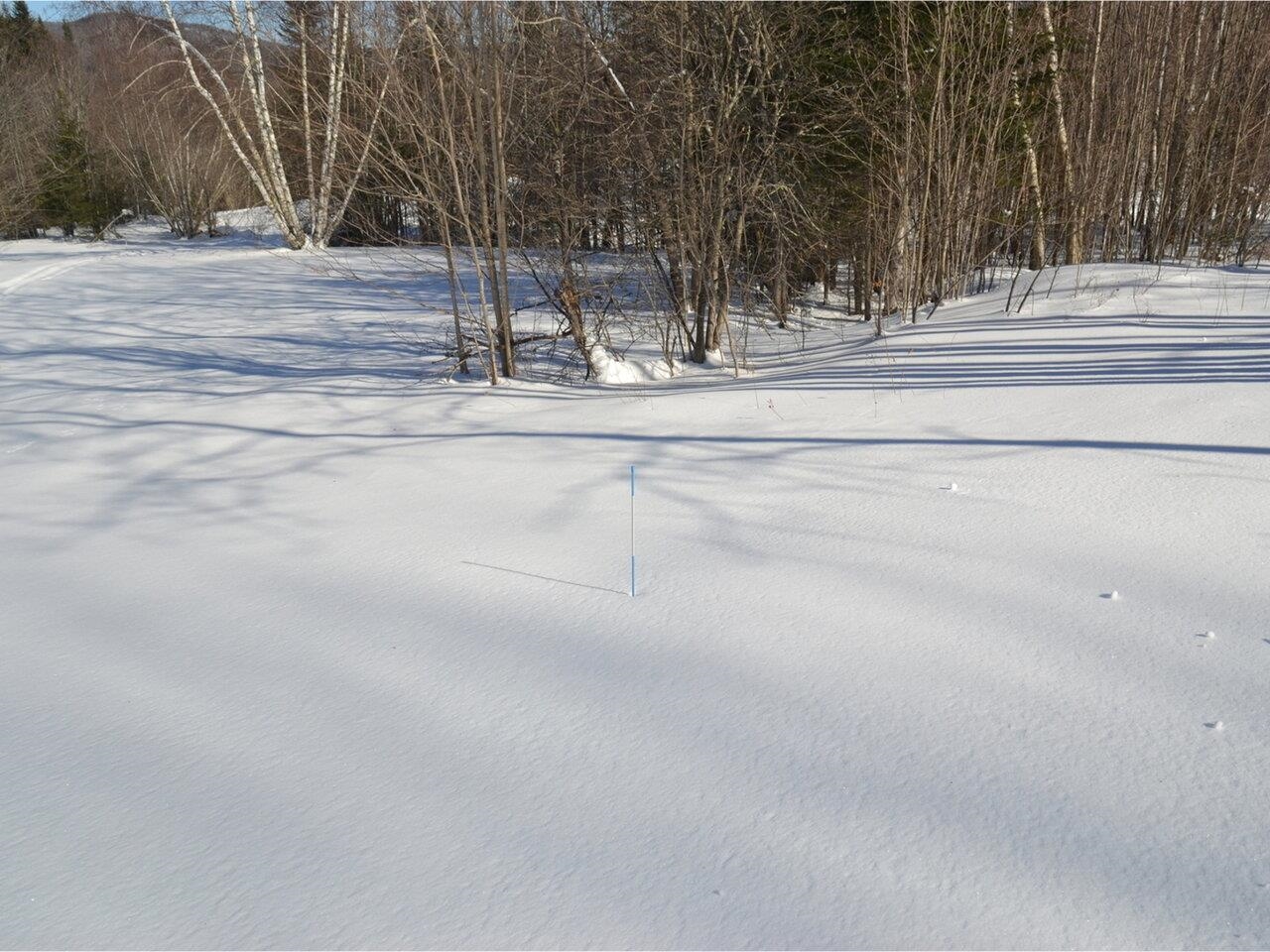 18 Culver Hill Road Middlesex, VT 05602 - Photo 8 of 17 Gallery Image 8