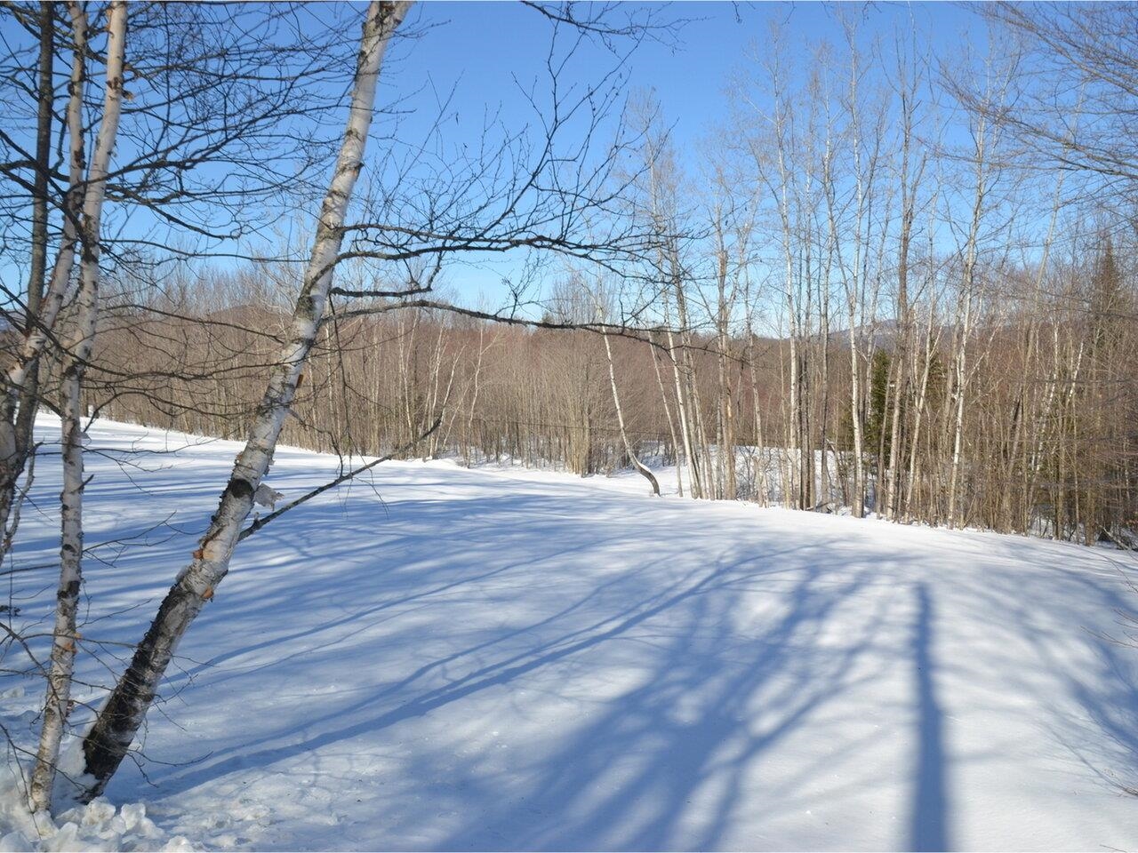 18 Culver Hill Road Middlesex, VT 05602 - Photo 9 of 17 Gallery Image 9