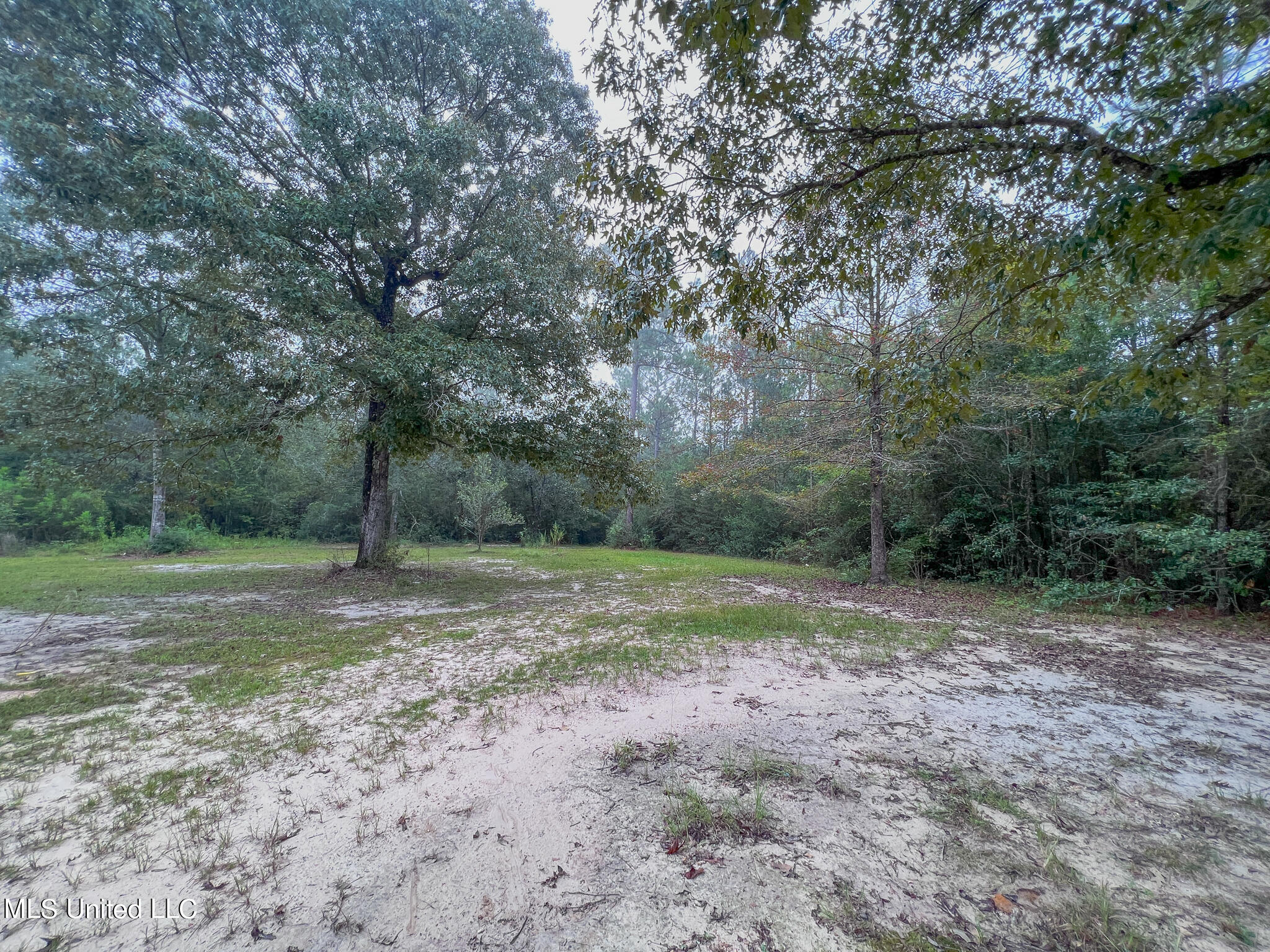 21601 McDowell Road Saucier, MS 39574 - Photo 4 of 5 20230903_125106361_iOS