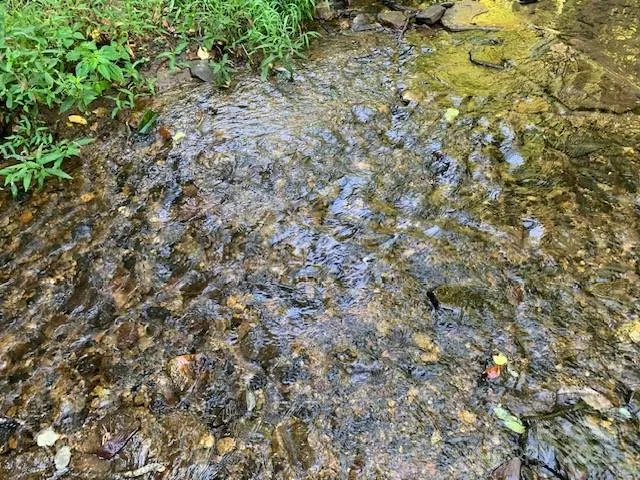 $333,000 | 5712 Holbert Cove Road, Unit 6 51AC, Saluda, NC 28773