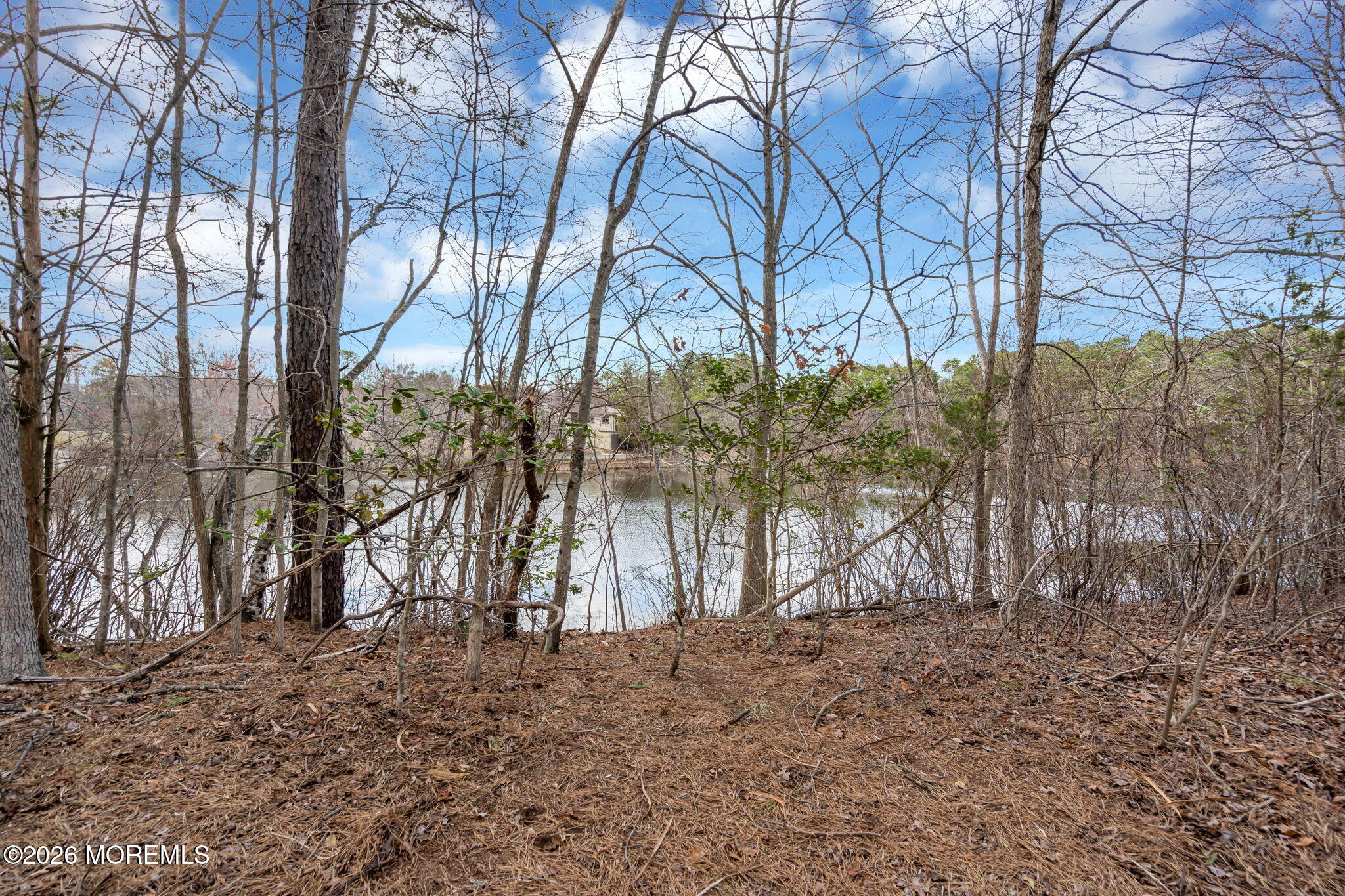 20 Sylvan Boulevard Howell, NJ 07731 - Photo 62 of 65 51-web-or-mls-DSC09782