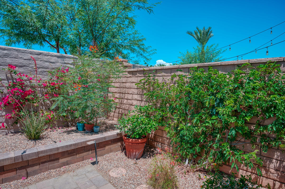 43775 Treviso Drive Indio, CA 92203 - Photo 27 of 47 a garden view