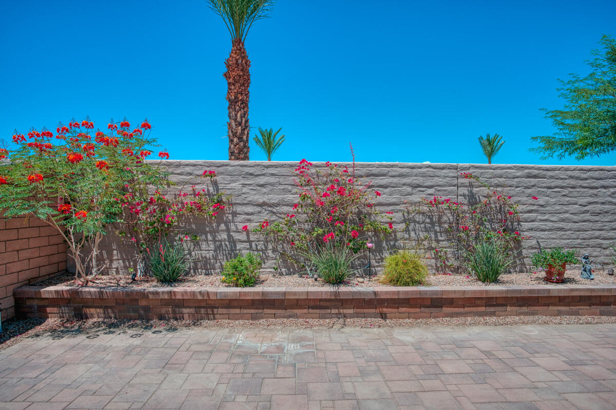 43775 Treviso Drive Indio, CA 92203 - Photo 28 of 47 a front view of a house with a yard and potted plants