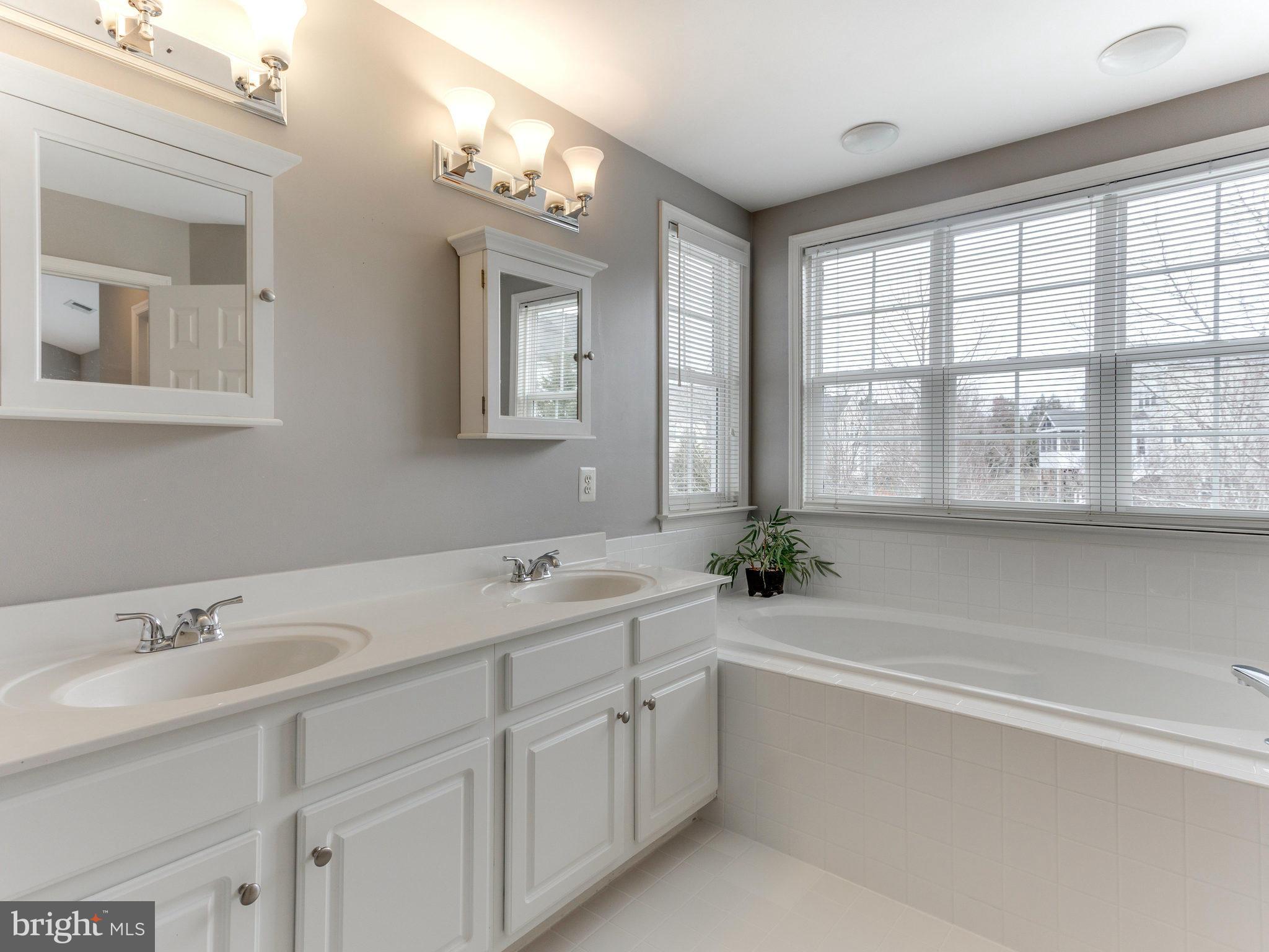43074 Lake Ridge Place Leesburg, VA 20176 - Photo 15 of 30 Bath (Master)
