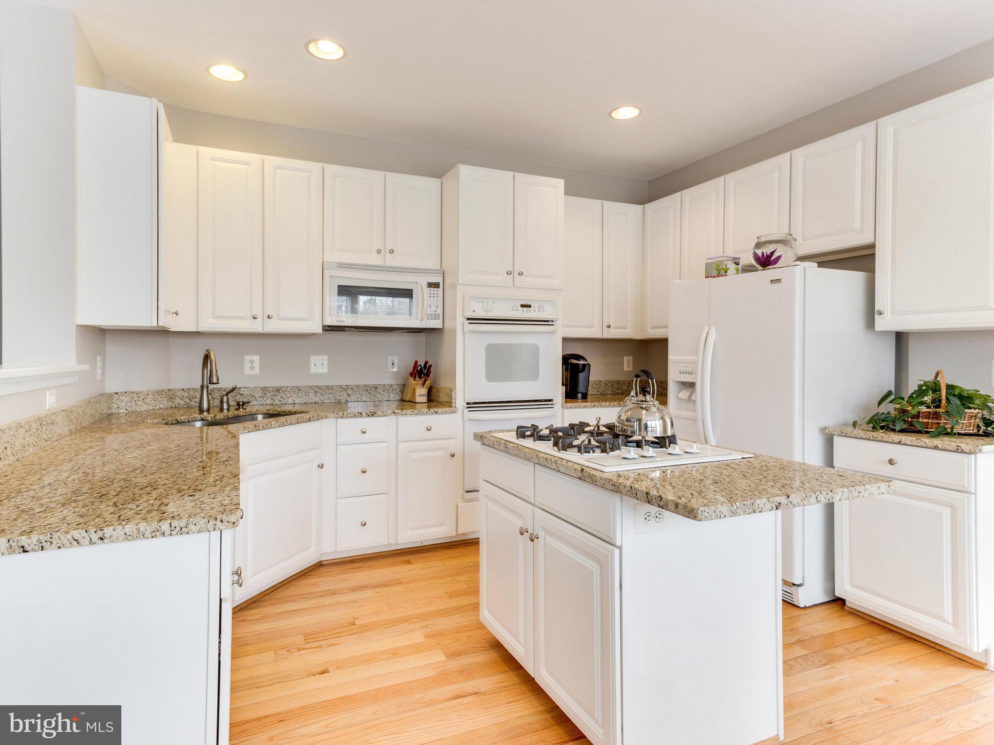 43074 Lake Ridge Place Leesburg, VA 20176 - Photo 8 of 30 Bright kitchen