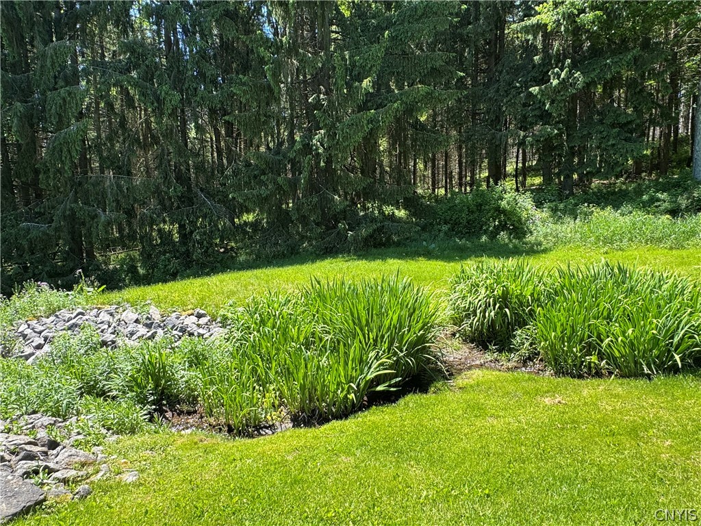 2729 West Hill Road Madison, NY 13346 - Photo 6 of 45