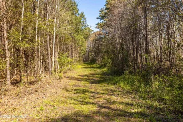 $460,000 | 101 Finch Loop, Beaufort, NC 28516