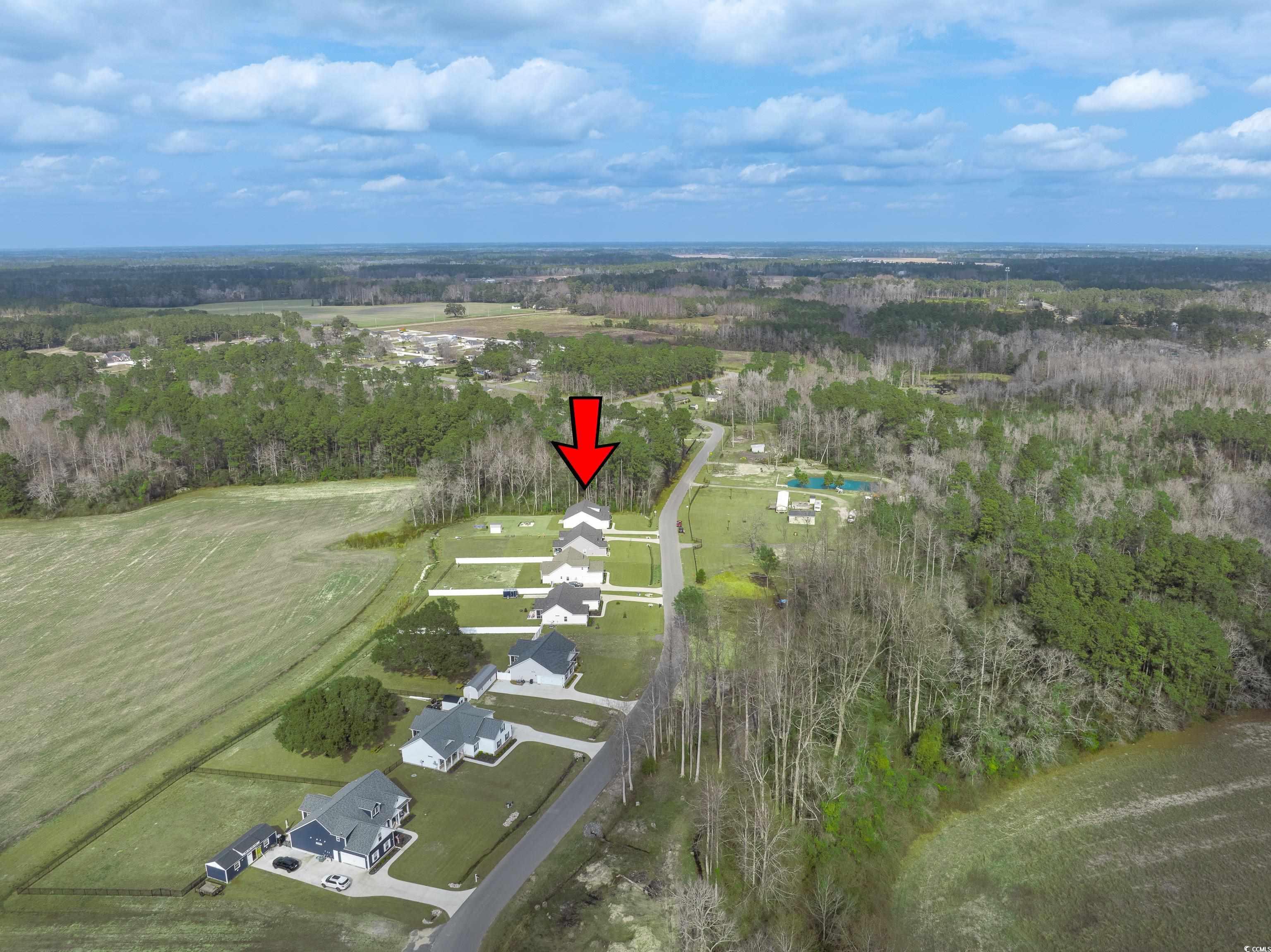 250 Ole Maple Street Loris, SC 29569 - Photo 36 of 40