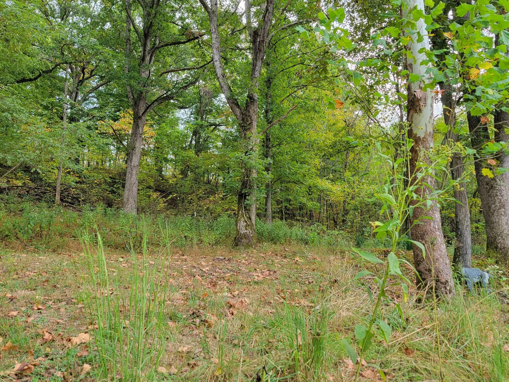 1573 Graham School Road Gallipolis, OH 45631 - Photo 31 of 38 r31