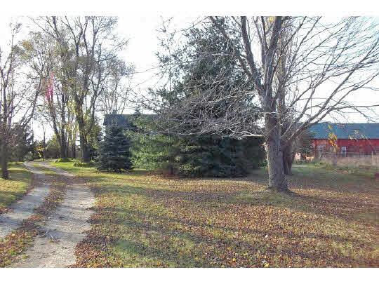 11701 Slough Road Garden Prairie, IL 61038 - Photo 10 of 11 a view of yard with trees