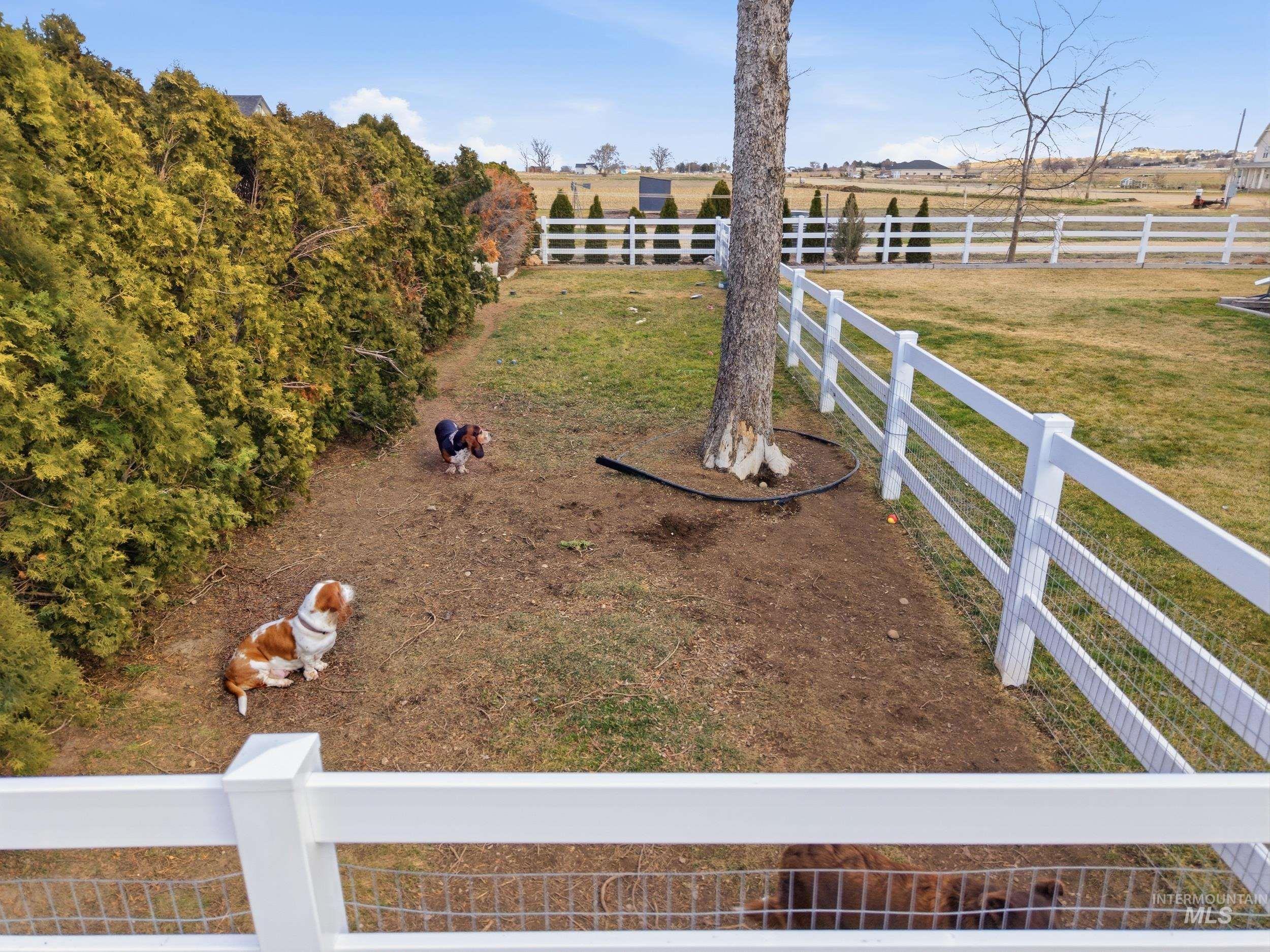 9762 Deer Flat Road Nampa, ID 83686 - Photo 23 of 24 Fenced backyard with a rural view