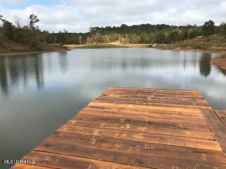 1550 County Road 701 Ripley, MS 38663 - Photo 12 of 23 IMG_1255