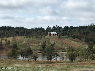 1550 County Road 701 Ripley, MS 38663 - Photo 13 of 23 IMG_1261