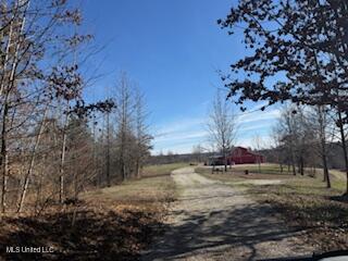 1550 County Road 701 Ripley, MS 38663 - Photo 15 of 23 IMG_3696