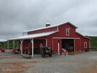 1550 County Road 701 Ripley, MS 38663 - Photo 3 of 23 50X60