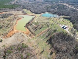 1550 County Road 701 Ripley, MS 38663 - Photo 5 of 23 AERIAL VIEW