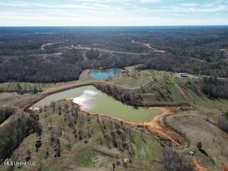 1550 County Road 701 Ripley, MS 38663 - Photo 7 of 23 dji_fly_20260112_115202_521_176824007311