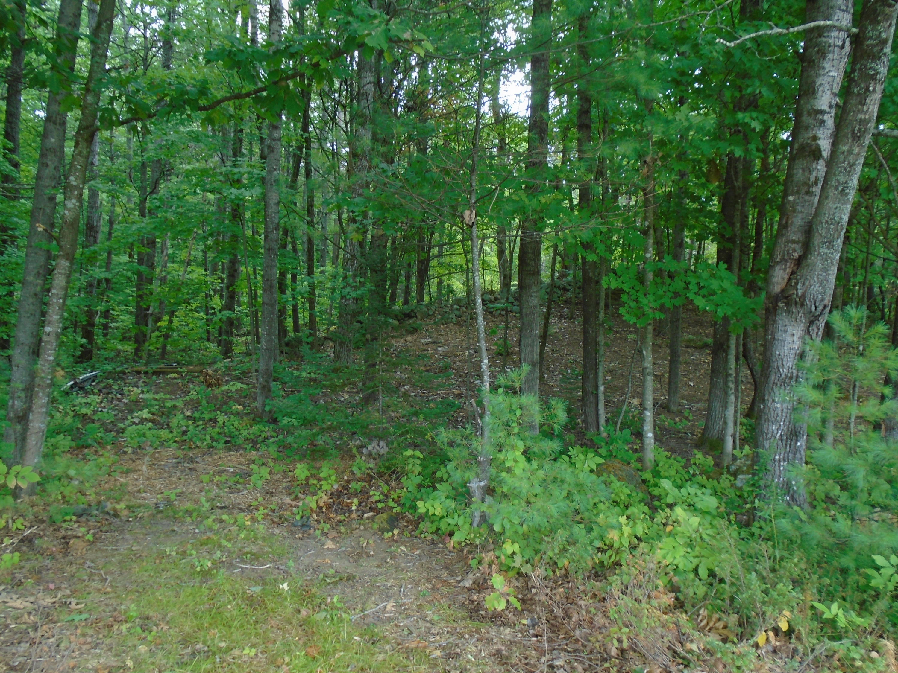 216 Sanborn Road Newfield, ME 04095 - Photo 23 of 33 DSC02080