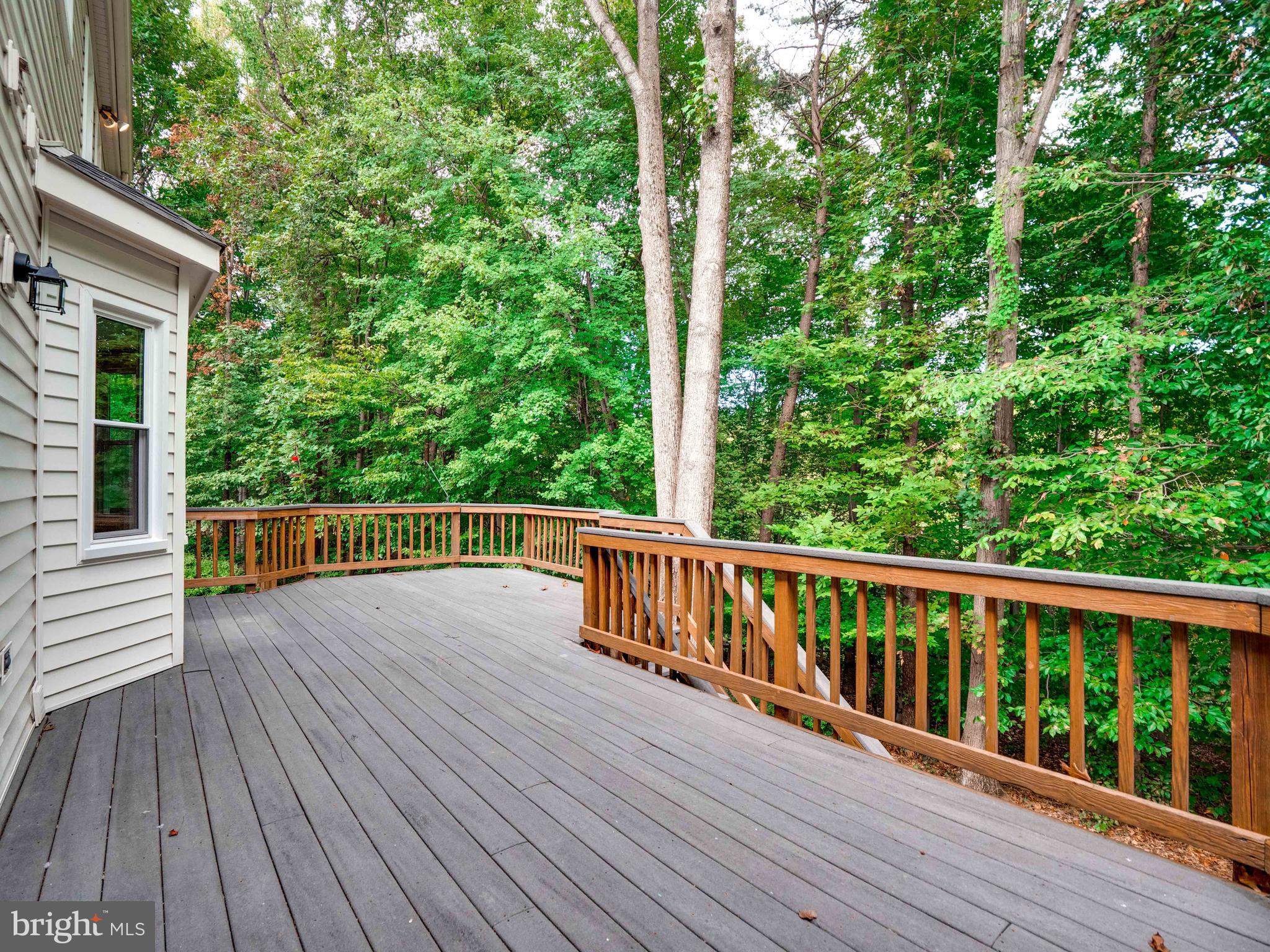 7305 Jenna Road Springfield, VA 22153 - Photo 35 of 46