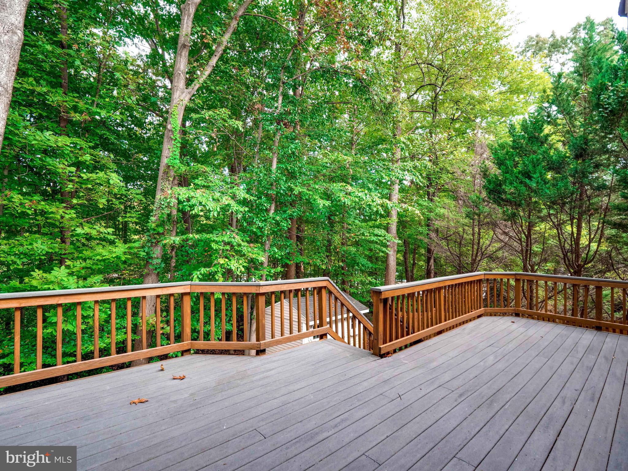 7305 Jenna Road Springfield, VA 22153 - Photo 37 of 46