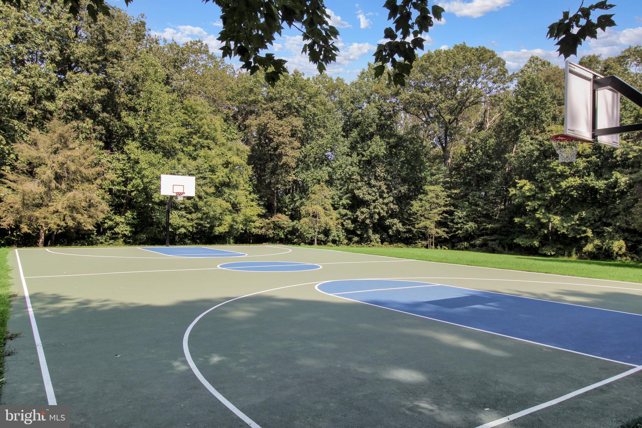 7305 Jenna Road Springfield, VA 22153 - Photo 44 of 46