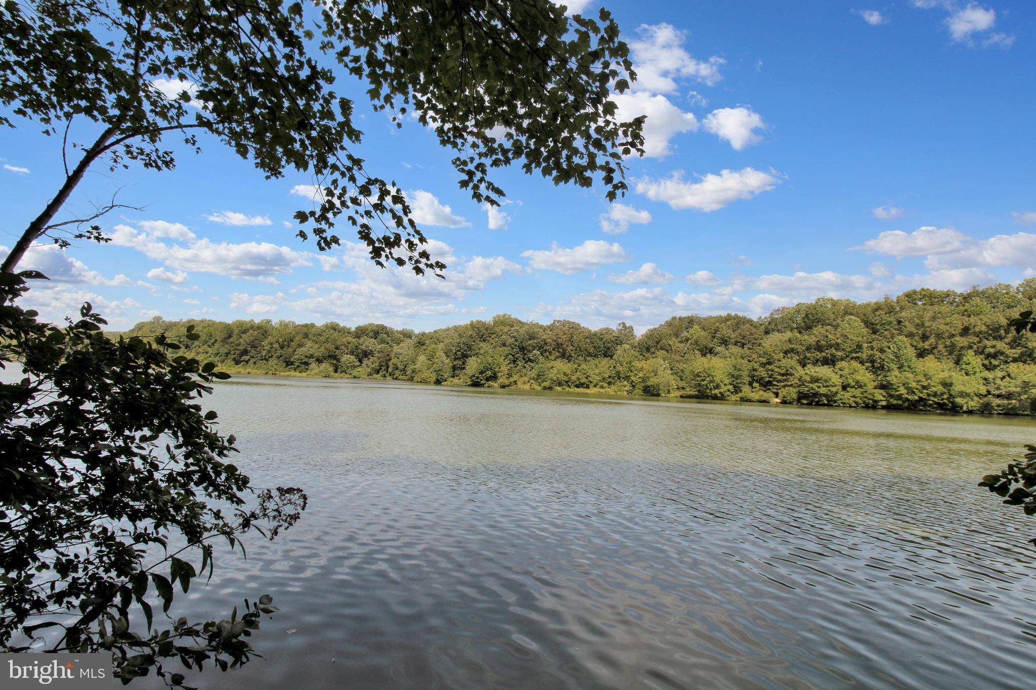 7305 Jenna Road Springfield, VA 22153 - Photo 45 of 46