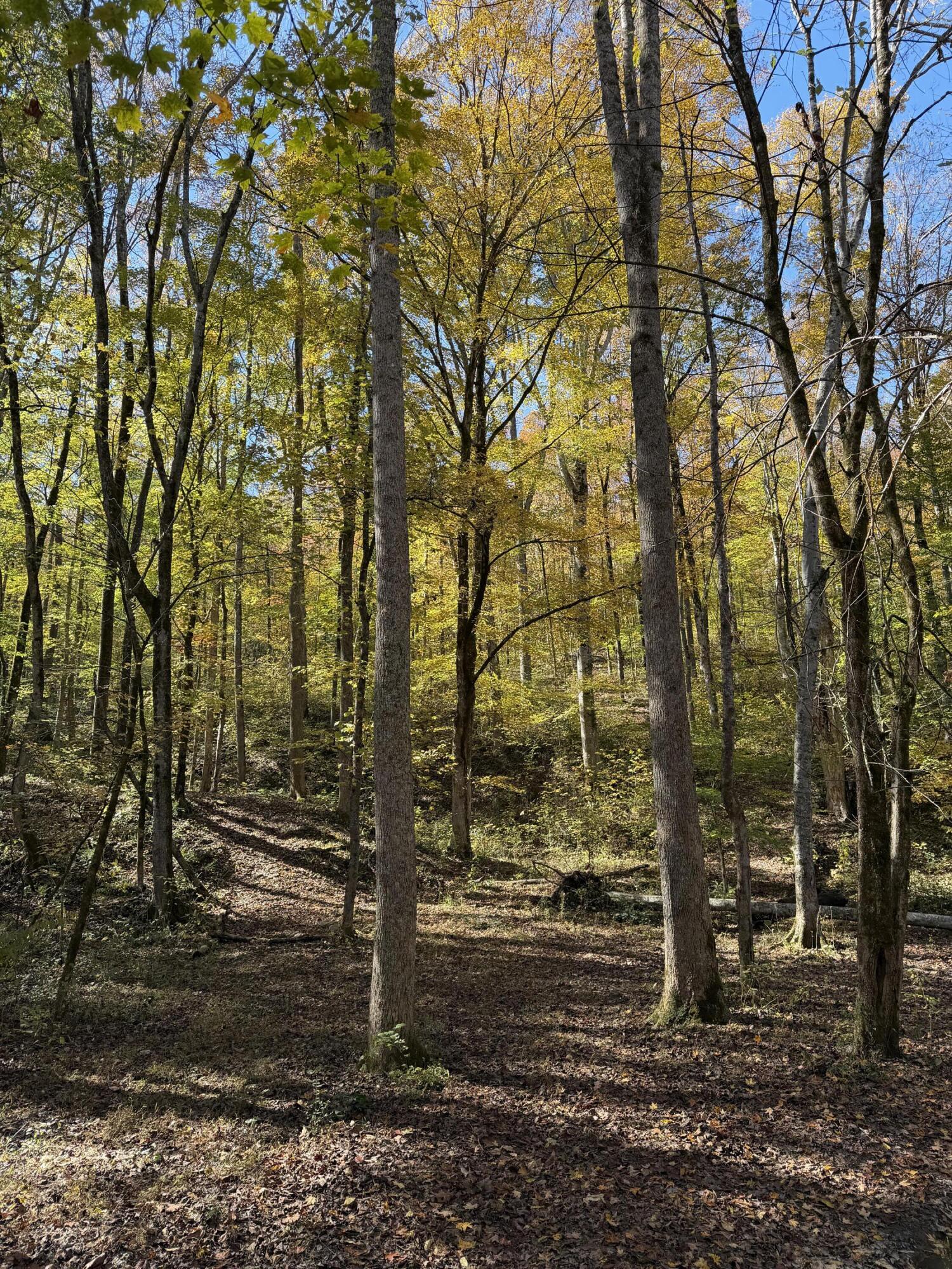 3895 Coppinger Cove Road Sequatchie, TN 37374 - Photo 6 of 26 IMG_0320