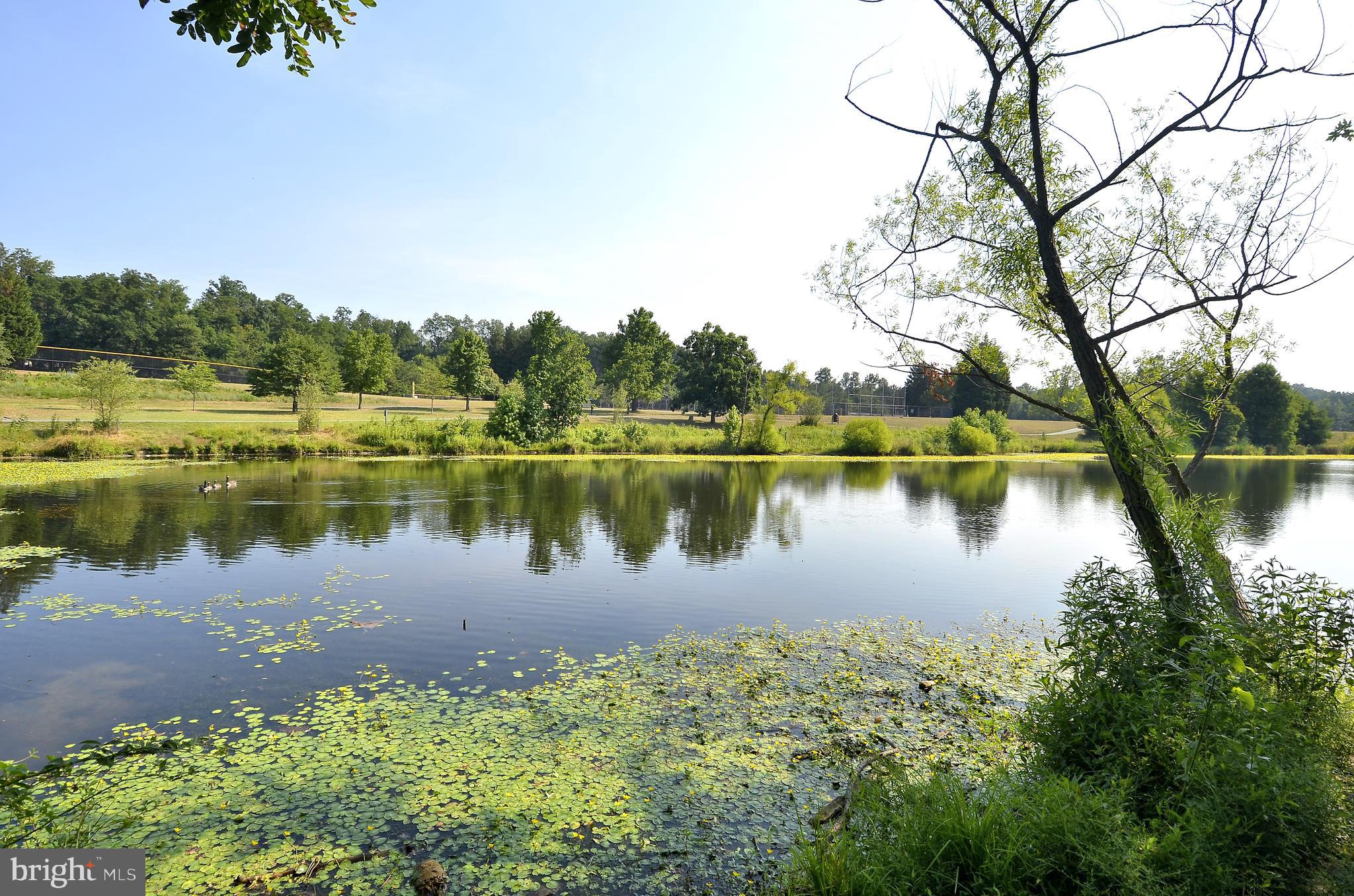 13112 Riviera Terrace Silver Spring, MD 20904 - Photo 64 of 72 MLK pond
