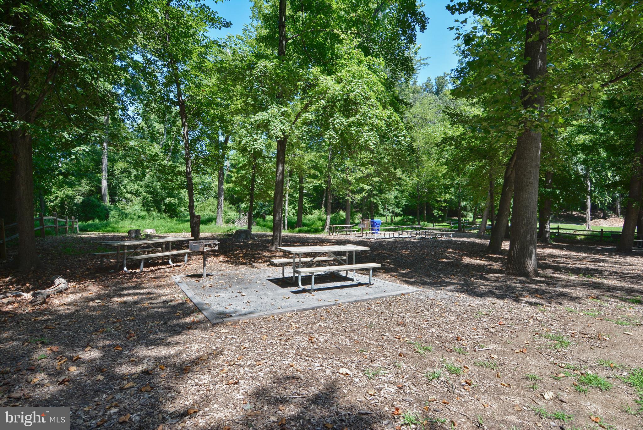 13112 Riviera Terrace Silver Spring, MD 20904 - Photo 67 of 72 MLK picnic area