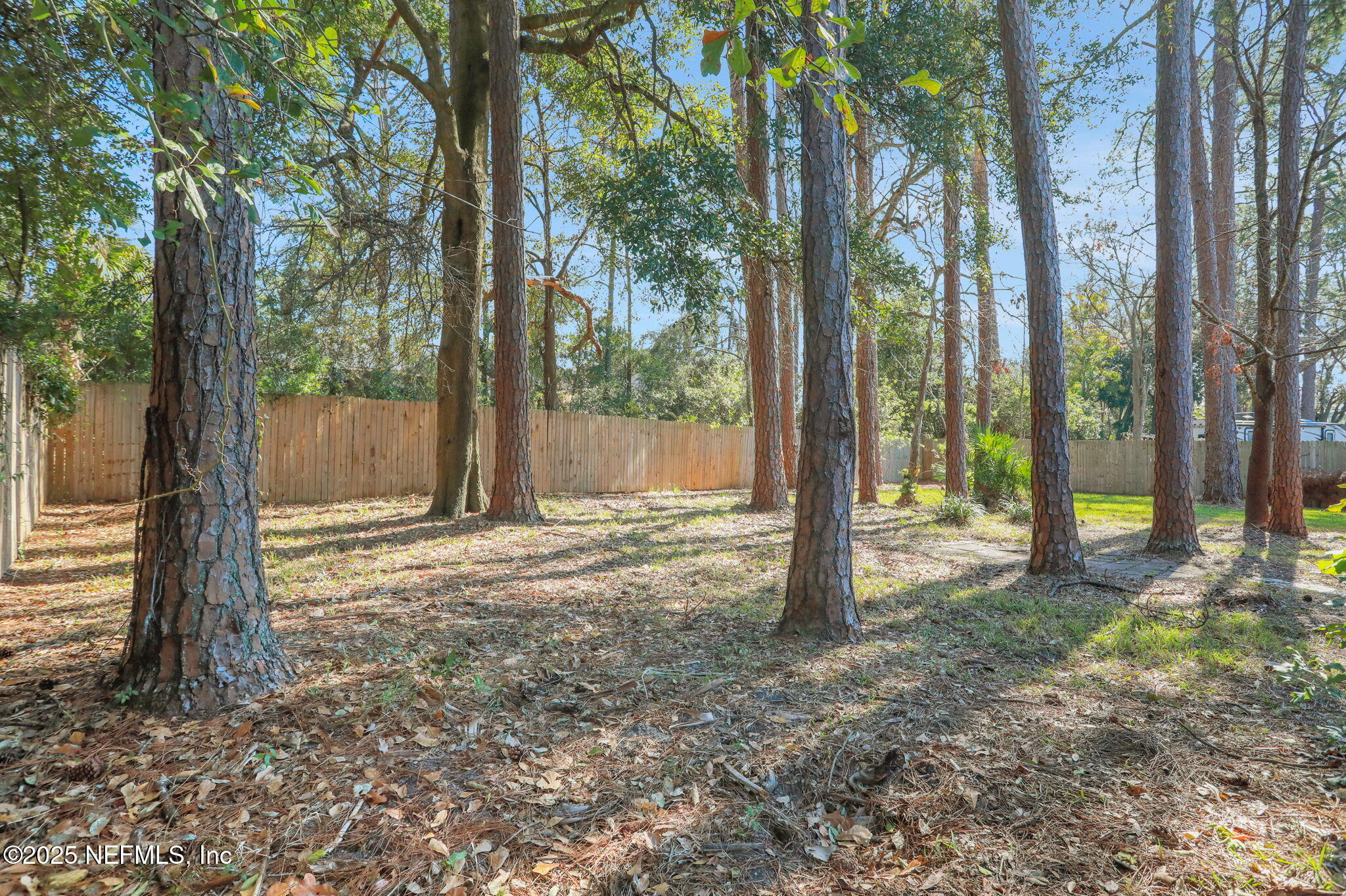 5182 Rathbone Drive Jacksonville, FL 32257 - Photo 28 of 30 High Fenced Back Yard