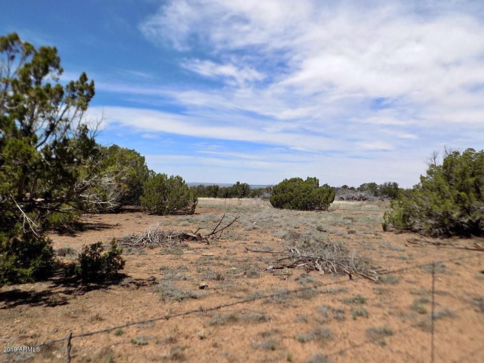 8276 Highplains Road Show Low, AZ 85901 - Photo 1 of 8 8276 Highplains 1