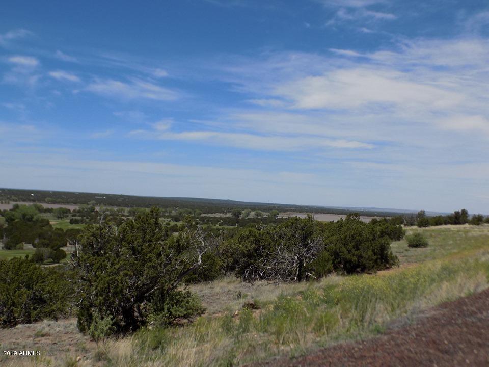 8276 Highplains Road Show Low, AZ 85901 - Photo 3 of 8 8276 Highplains 3