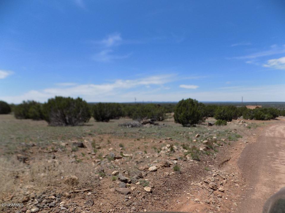 8276 Highplains Road Show Low, AZ 85901 - Photo 5 of 8 8276 Highplains 5
