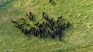 $6,500,000 | 10647 East Swinging Bridge Lane, Cornville, AZ 86325